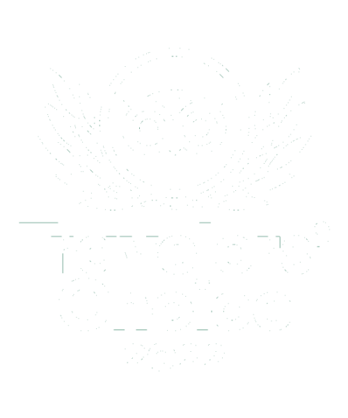 Tripadvisor travelers choice award 2020